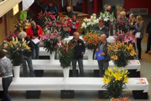 SAMSUNG DIGITAL CAMERA