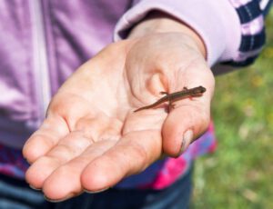 Natuuronderzoek_15__Dutchphoto