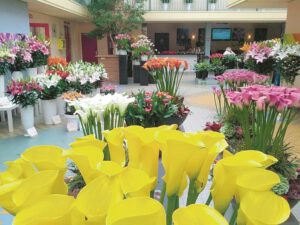 Lelie- en Callashow 2