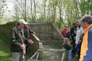 Eendenkooi 't Zand / Sylvia Leentvaar