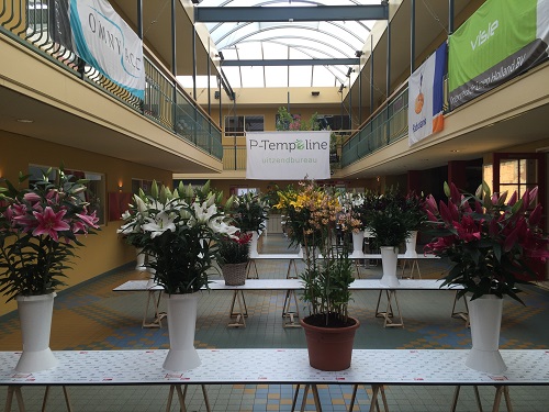 Leliekeuren 2016 4e ronde lelies (1)