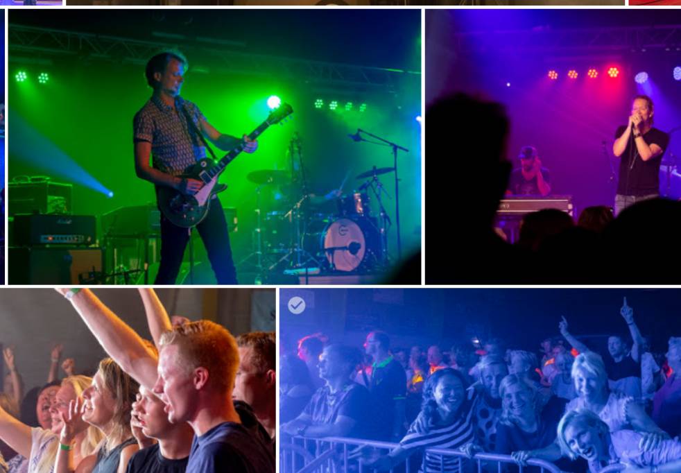 van Dik Hout album uitgelicht