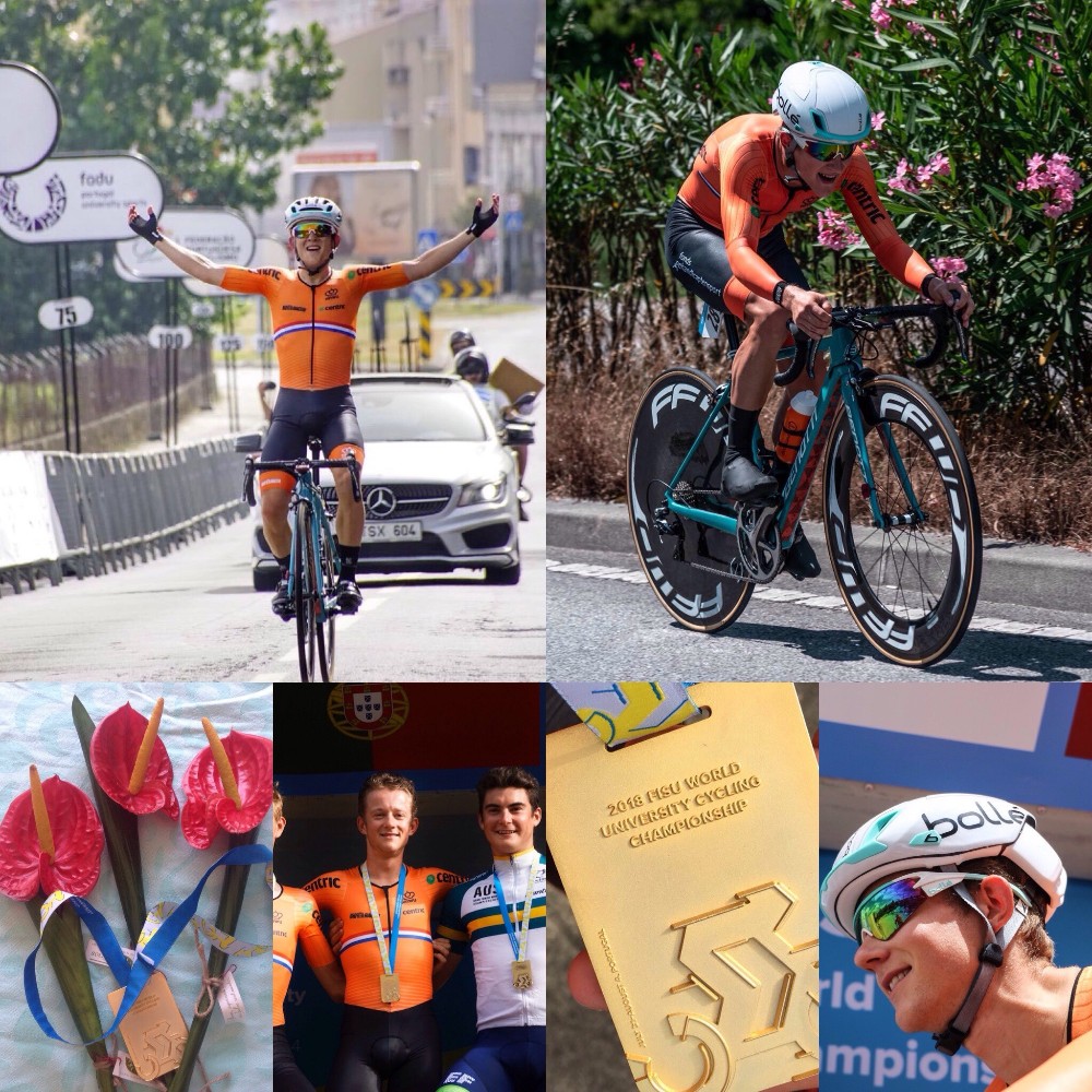 Adne van Engelen collagewk2018